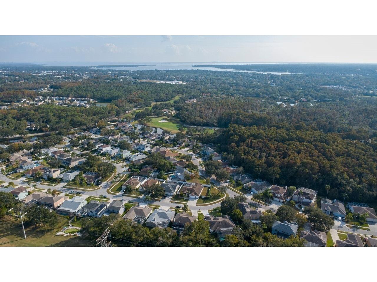 4858 Augusta Avenue Oldsmar FL 34677 TB8451607 image20