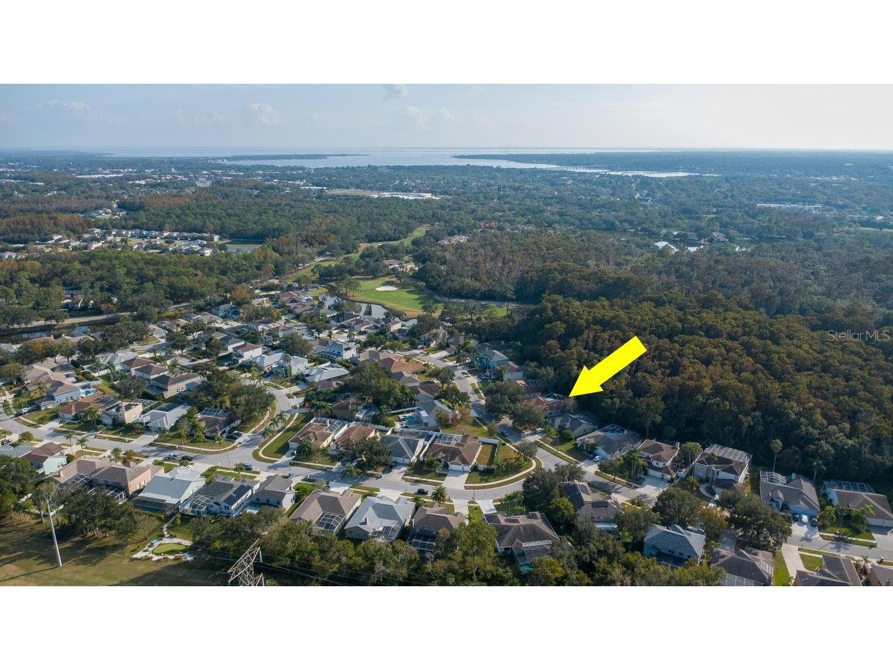 4858 Augusta Avenue Oldsmar FL 34677 TB8451607 image21