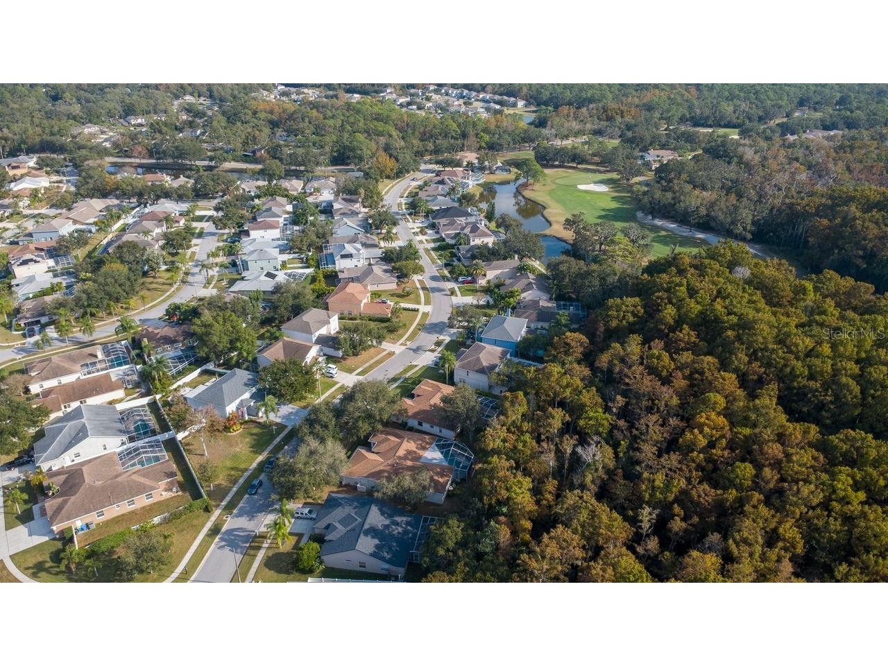 4858 Augusta Avenue Oldsmar FL 34677 TB8451607 image8