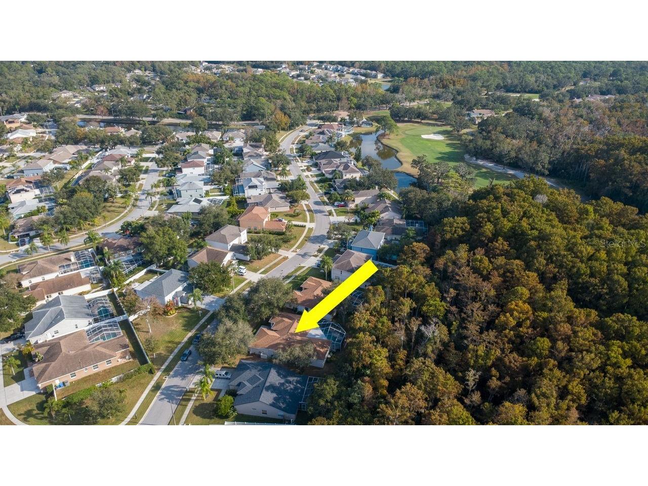 4858 Augusta Avenue Oldsmar FL 34677 TB8451607 image9