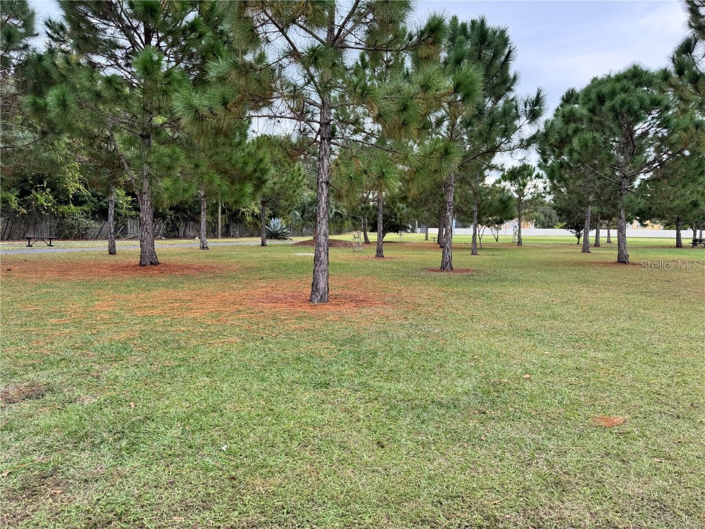 4858 Kingston Circle Kissimmee FL 34746 S5139376 image34