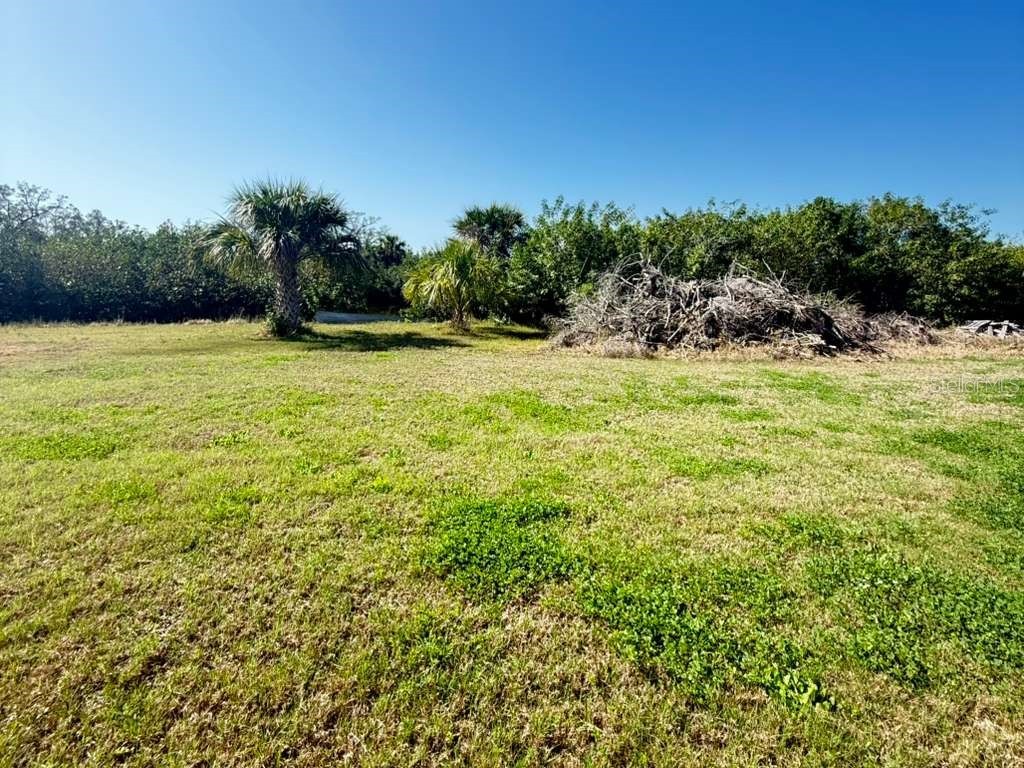 4858 Troydale Road Tampa FL 33615 TB8483208 image14