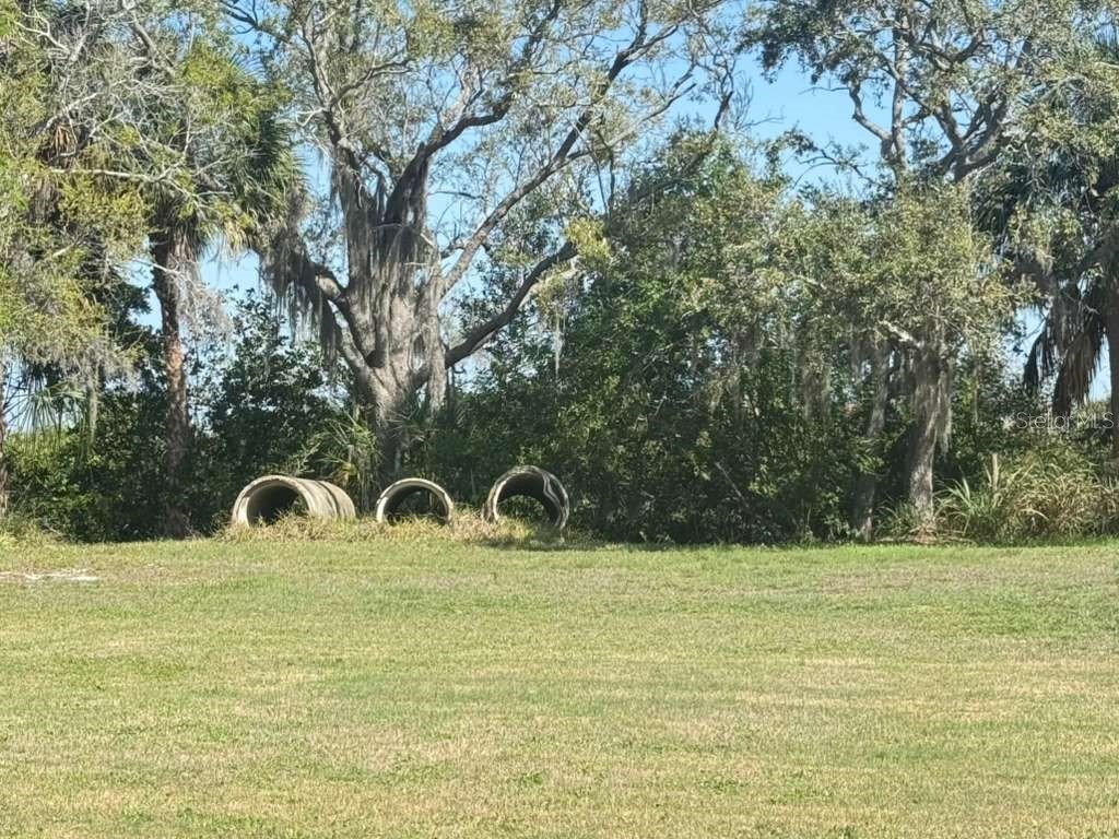 4858 Troydale Road Tampa FL 33615 TB8483208 image5
