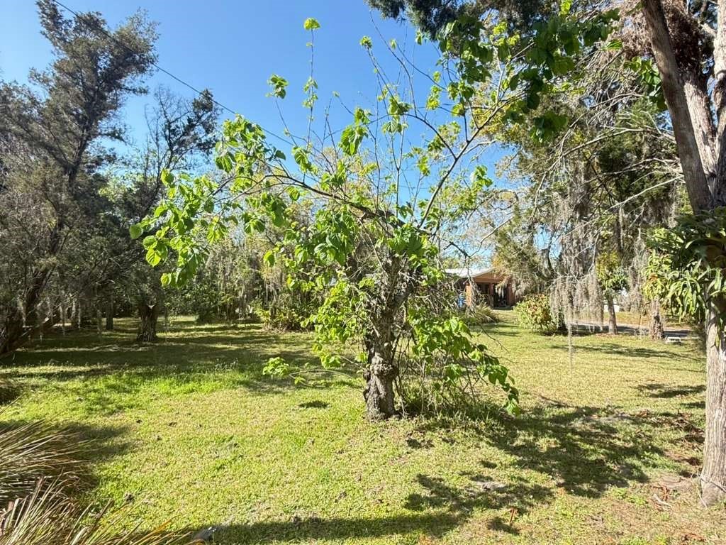 4858 Troydale Road Tampa FL 33615 TB8483208 image6