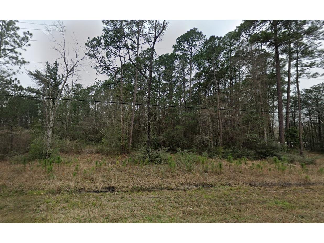 4859 Antioch Road Crestview FL 32536 A4683771 image2