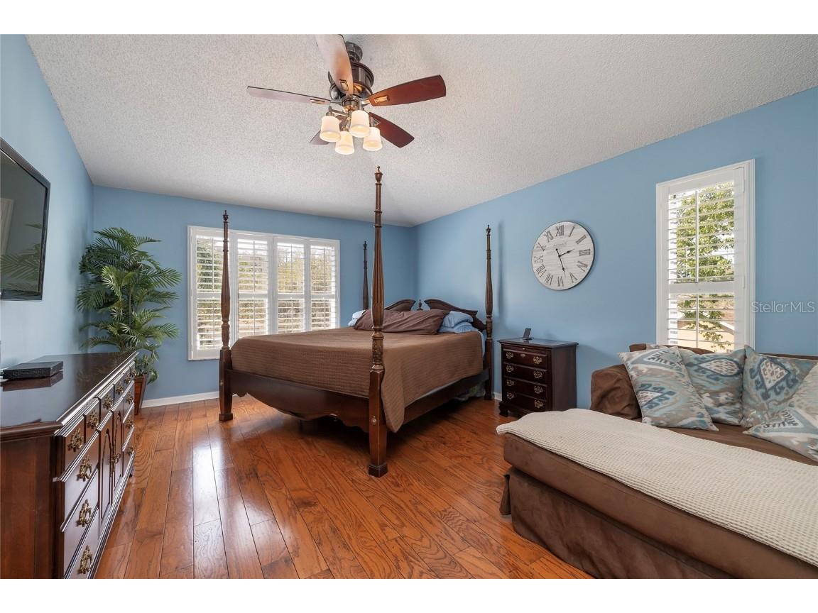 4859 Augusta Avenue Oldsmar FL 34677 TB8360586 image8