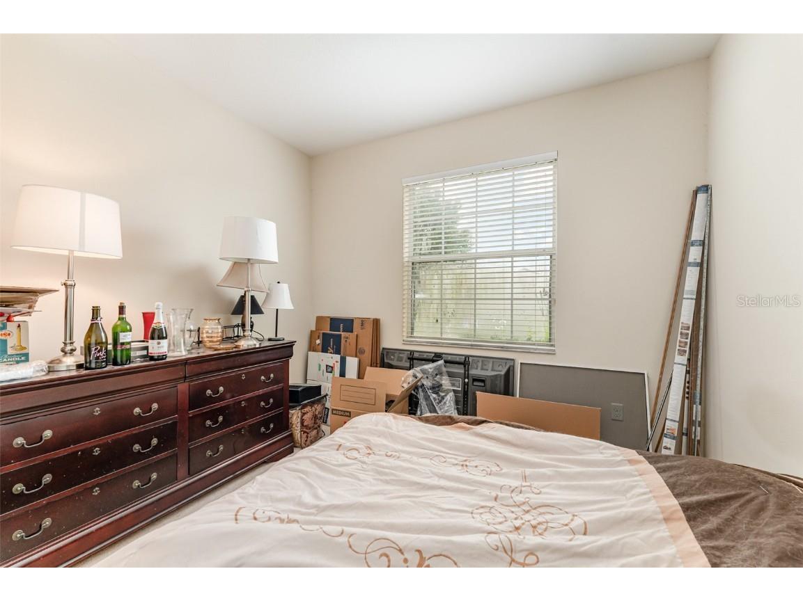 4859 Hickory Stream Lane Mulberry FL 33860 TB8426432 image10