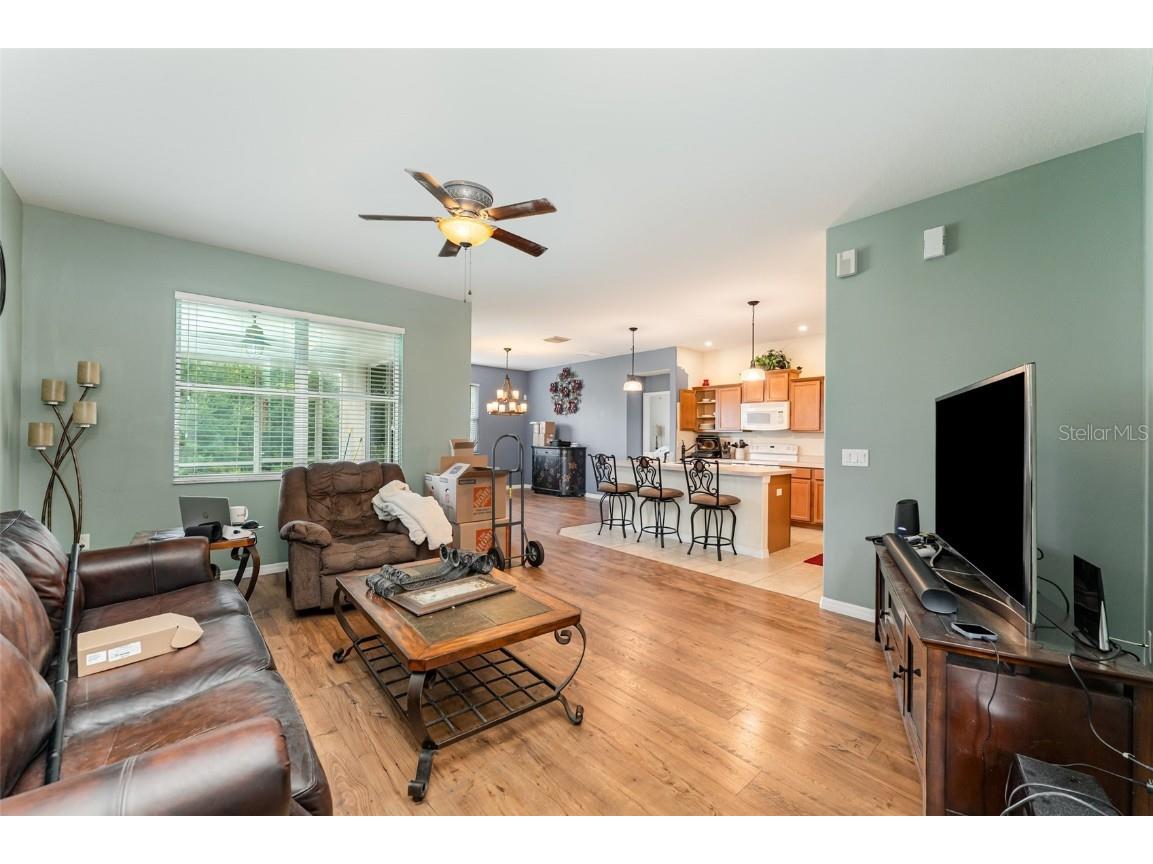 4859 Hickory Stream Lane Mulberry FL 33860 TB8426432 image3