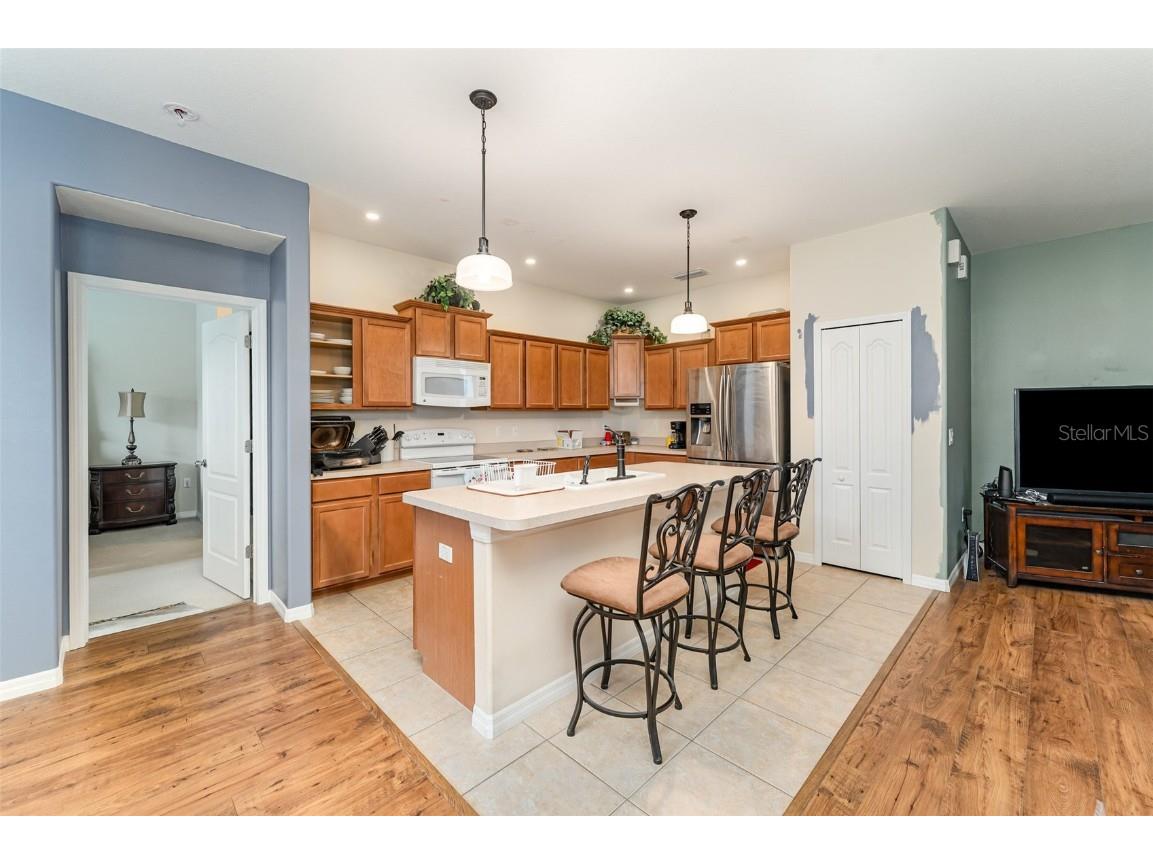 4859 Hickory Stream Lane Mulberry FL 33860 TB8426432 image5