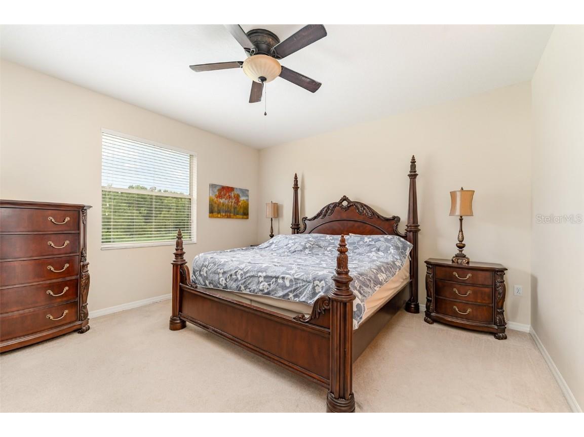 4859 Hickory Stream Lane Mulberry FL 33860 TB8426432 image7