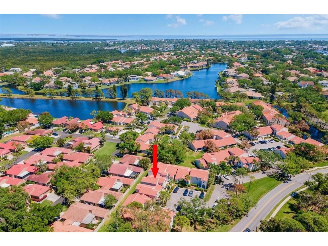 4859 Napoli Court NE #4859 Saint Petersburg FL 33703 TB8367348 image35