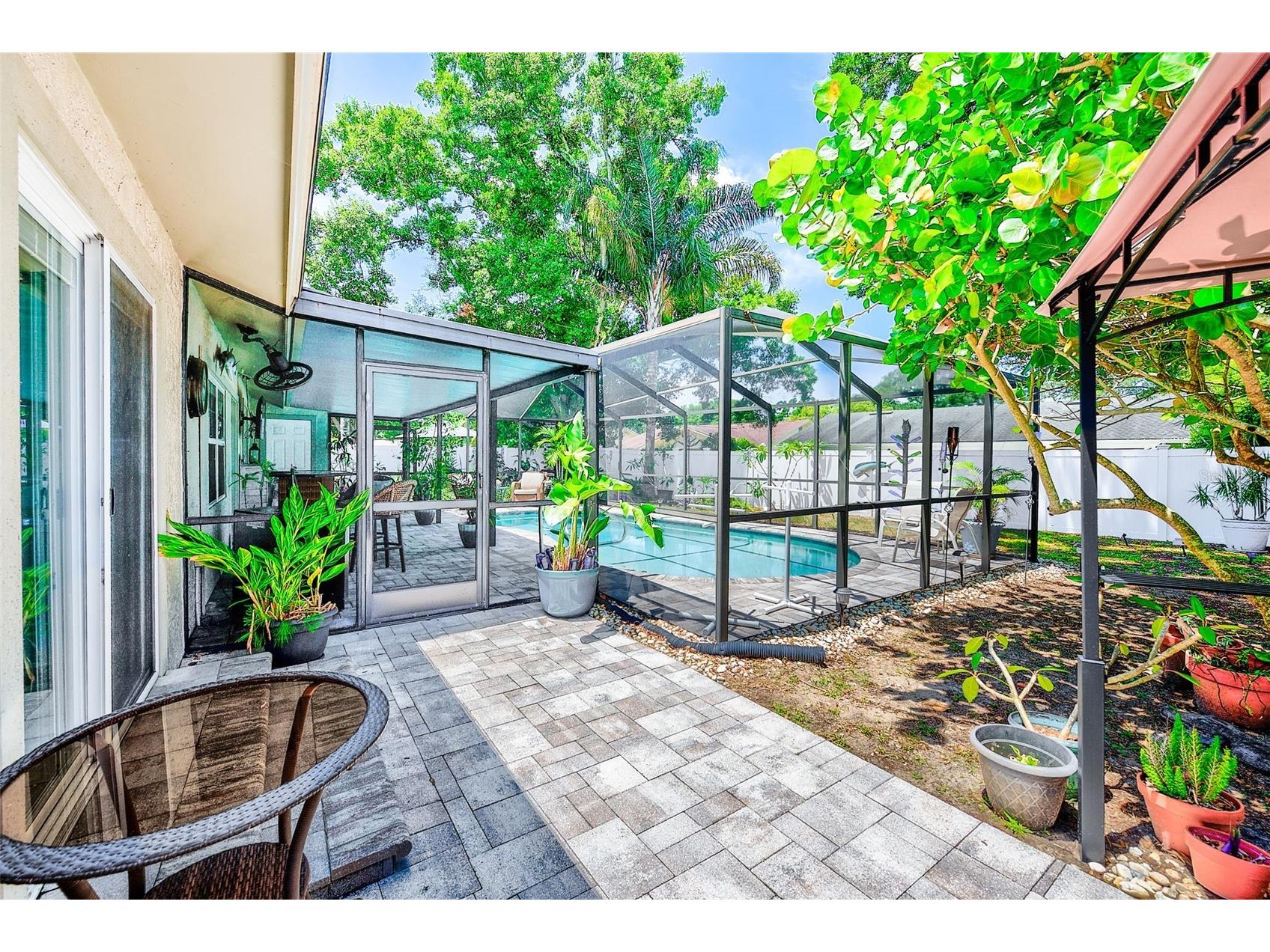 486 Belmist Court Dunedin FL 34698 TB8510468 image24