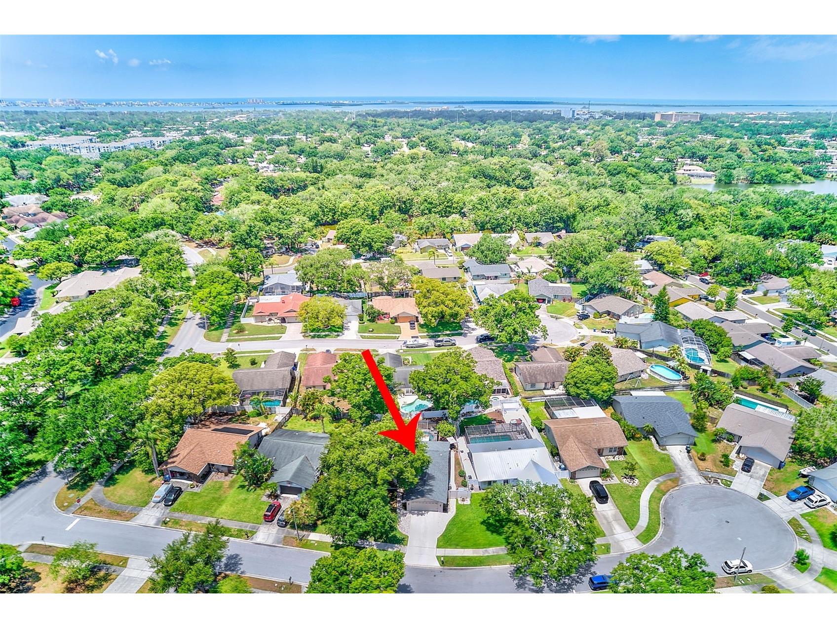 486 Belmist Court Dunedin FL 34698 TB8510468 image48