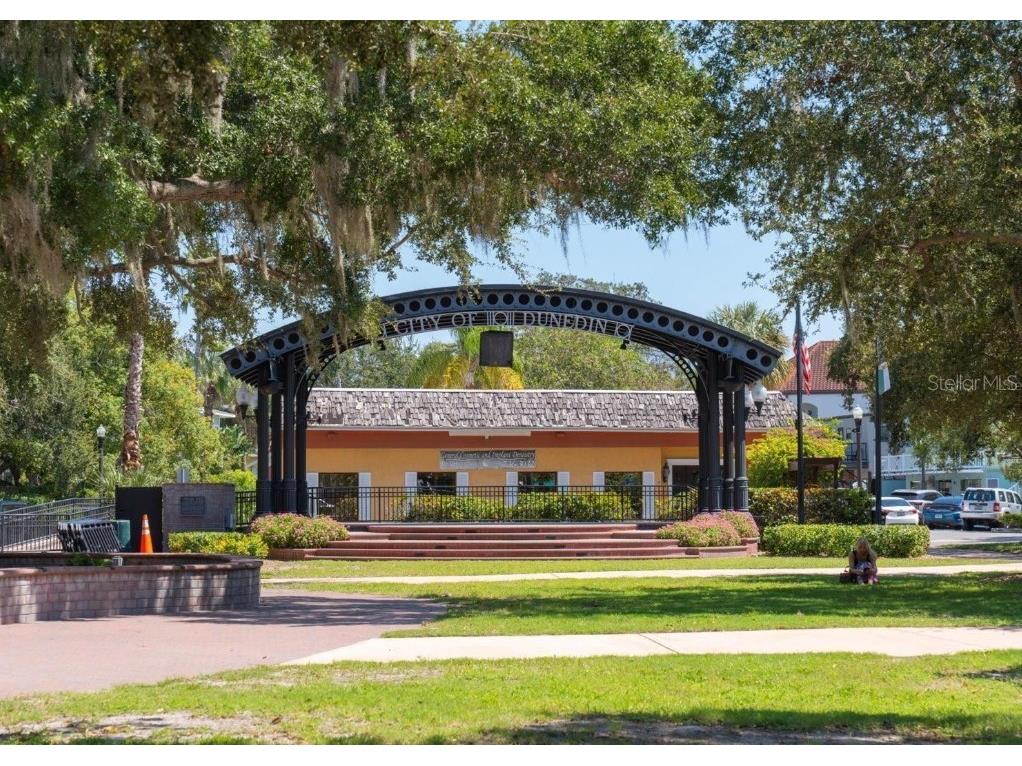 486 Belmist Court Dunedin FL 34698 TB8510468 image58