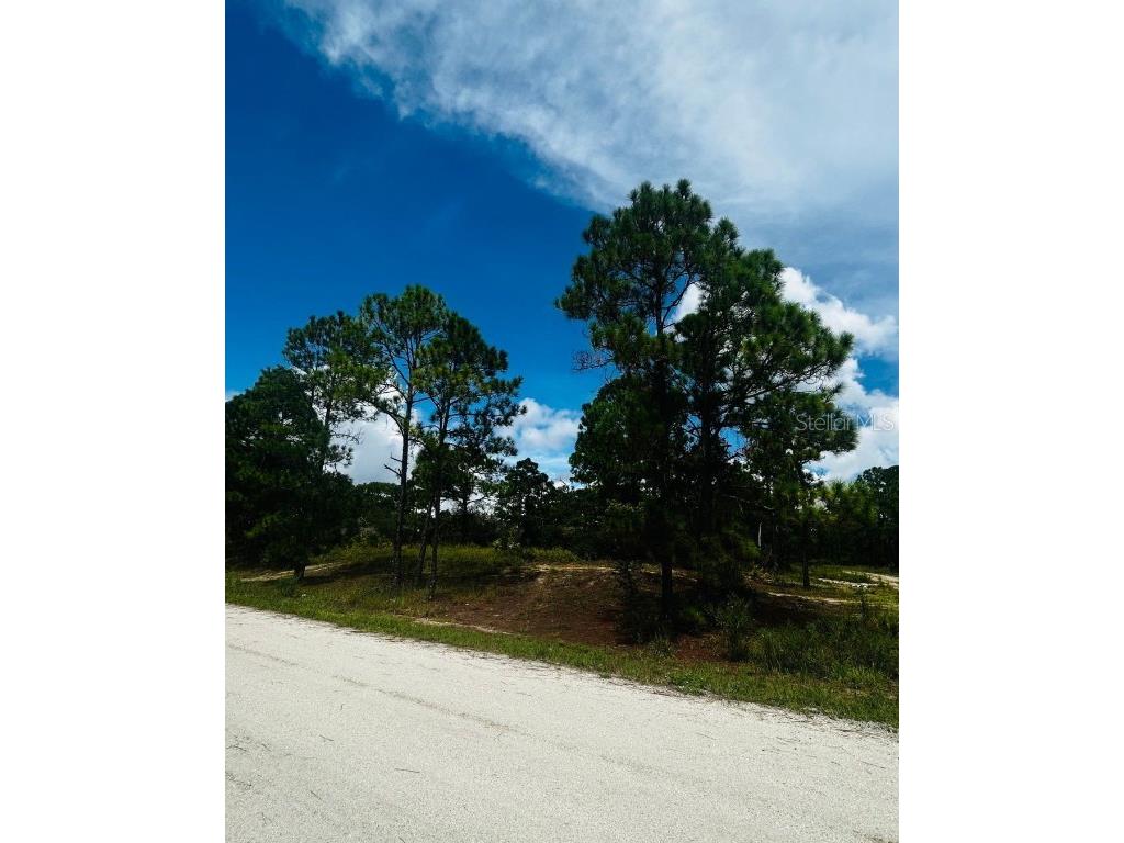 486 Dreamland Drive Lake Placid FL 33852 O6338501 image2