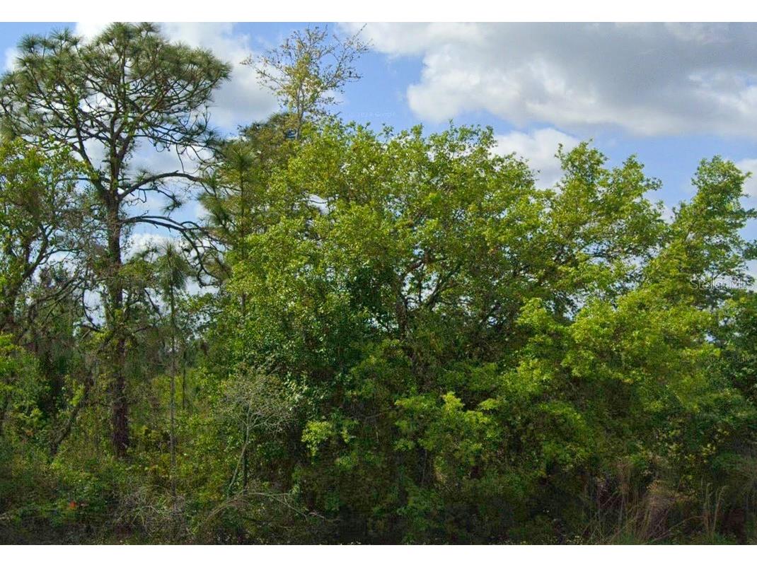 486 Kulwicki Drive Venus FL 33960 S5136722 image1