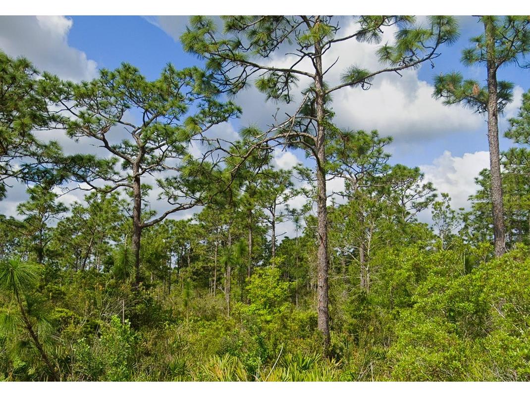 486 Kulwicki Drive Venus FL 33960 S5136722 image2