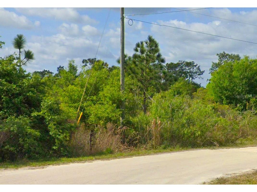 486 Kulwicki Drive Venus FL 33960 S5136722 image3