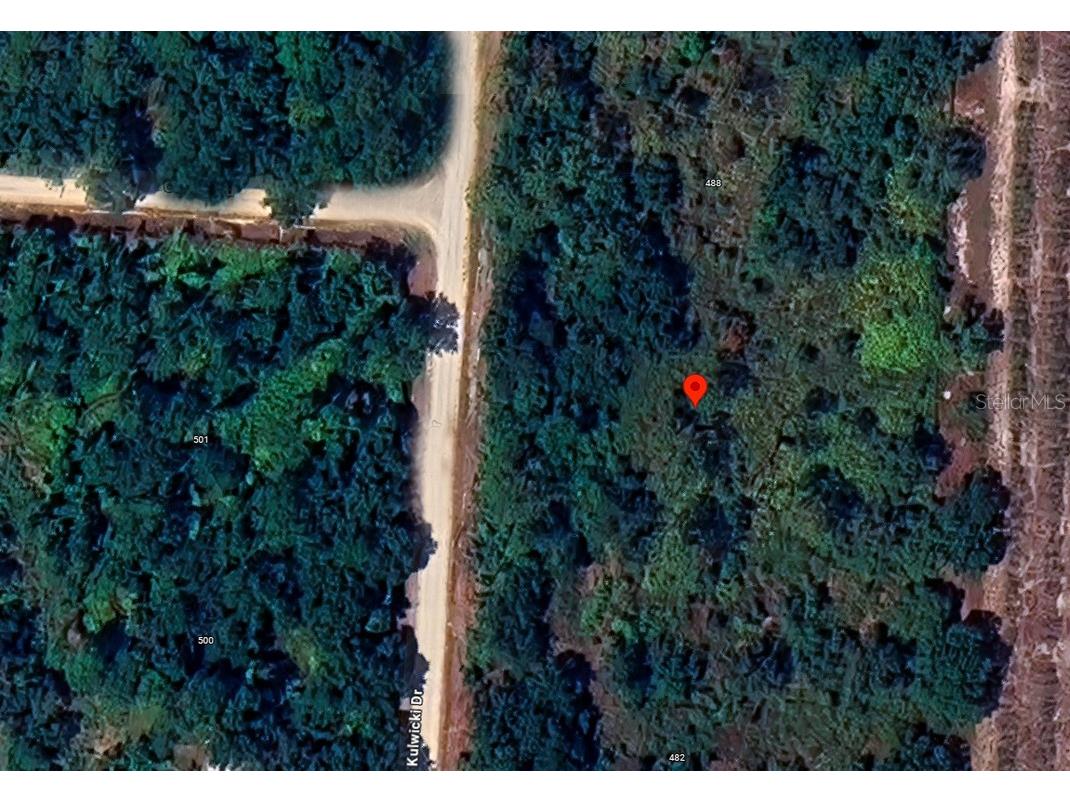 486 Kulwicki Drive Venus FL 33960 S5136722 image4