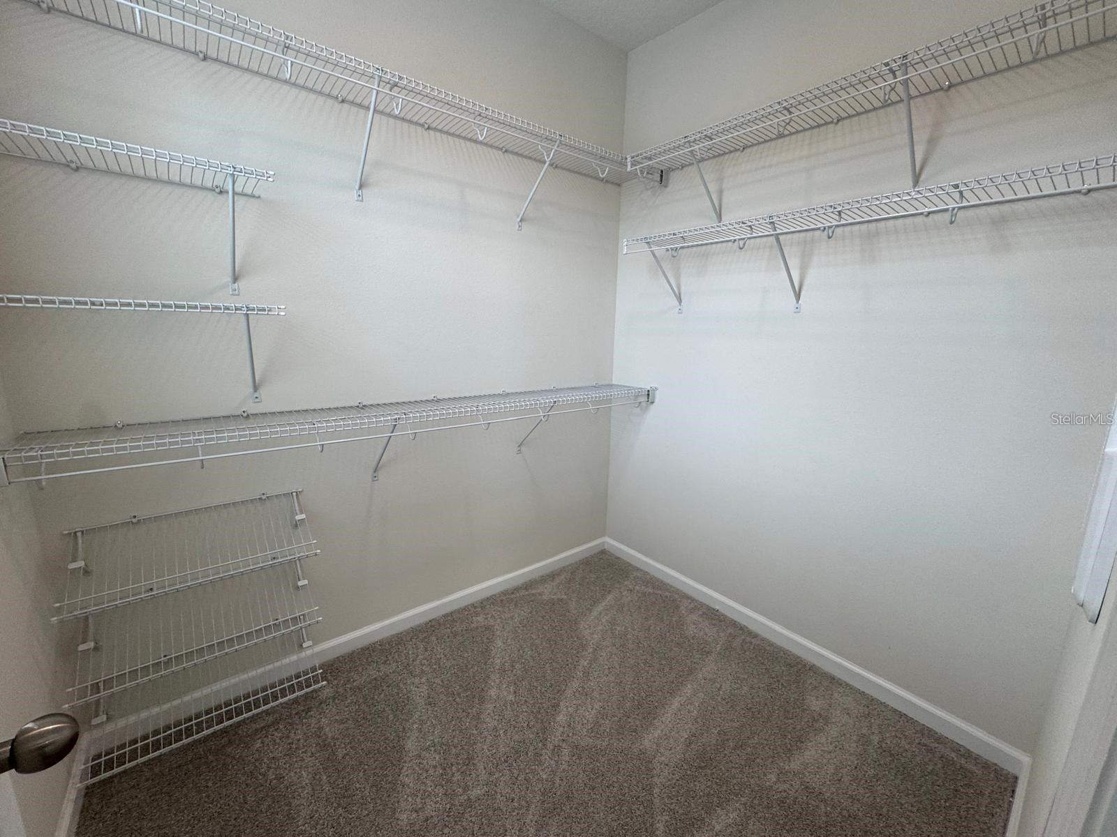 486 Lady Palm Street Apopka FL 32703 S5153167 image12