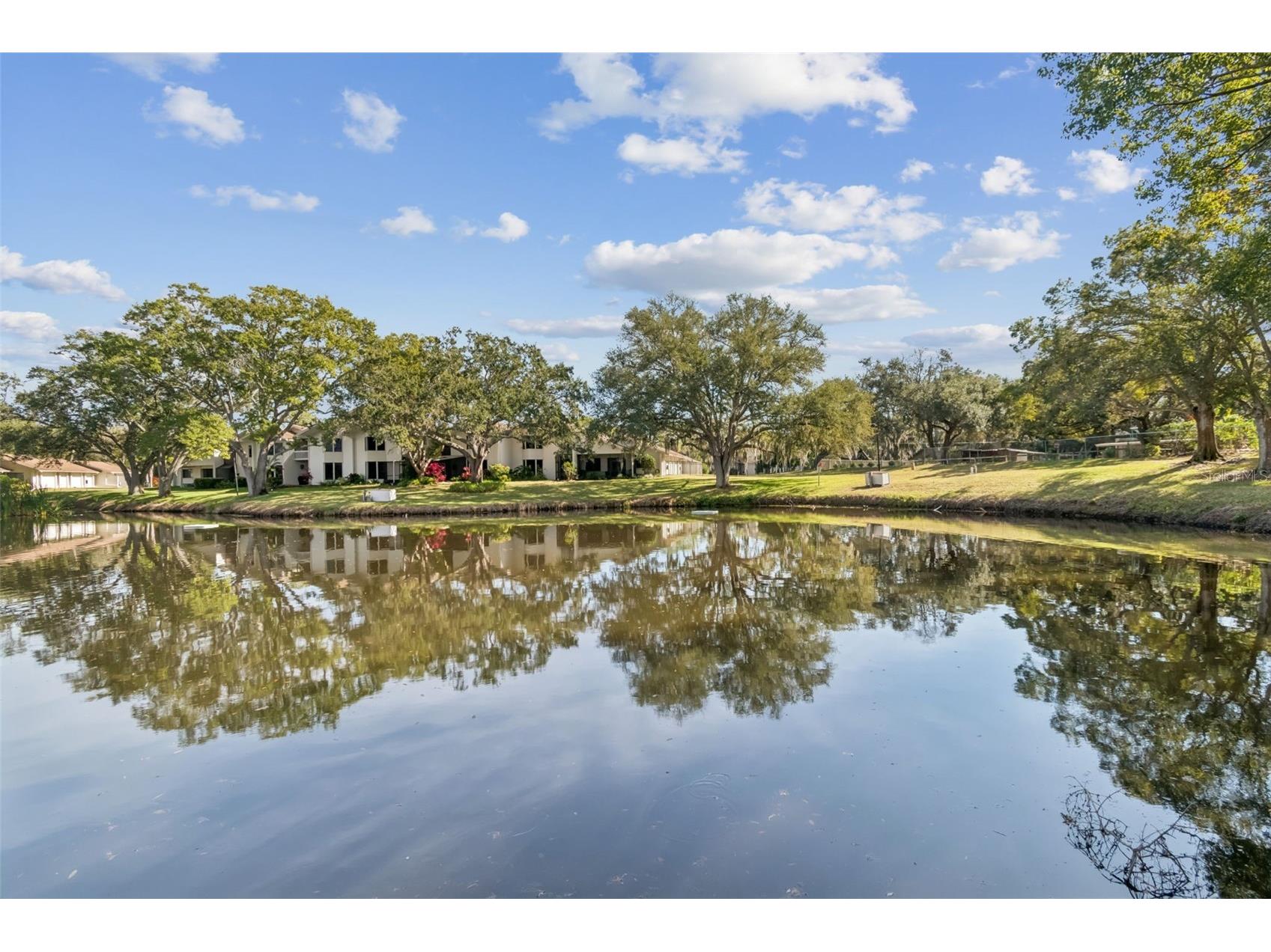 486 Lakeview Drive #54 Palm Harbor FL 34683 TB8457025 image1