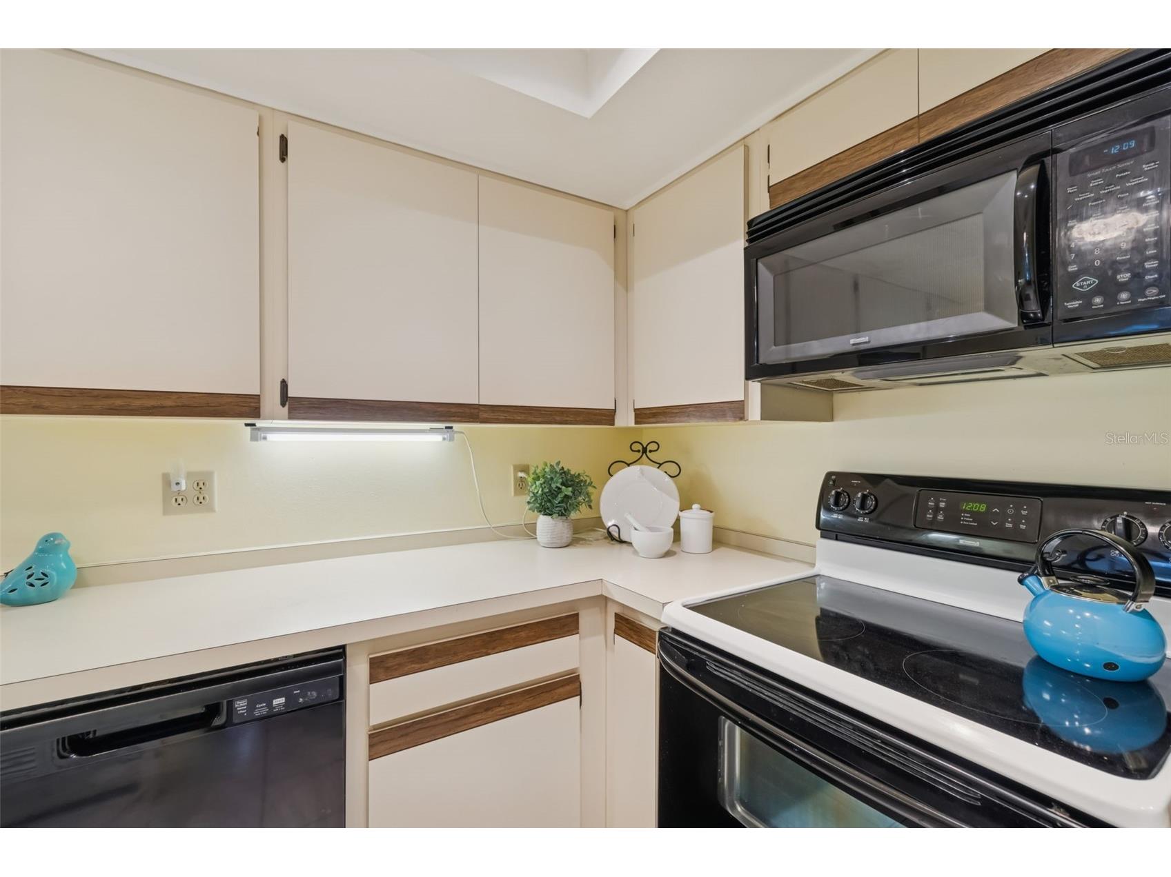 486 Lakeview Drive #54 Palm Harbor FL 34683 TB8457025 image15