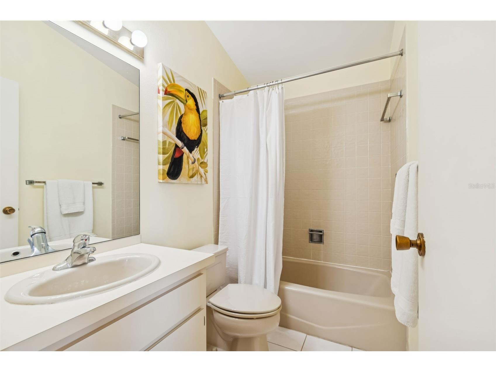 486 Lakeview Drive #54 Palm Harbor FL 34683 TB8457025 image31