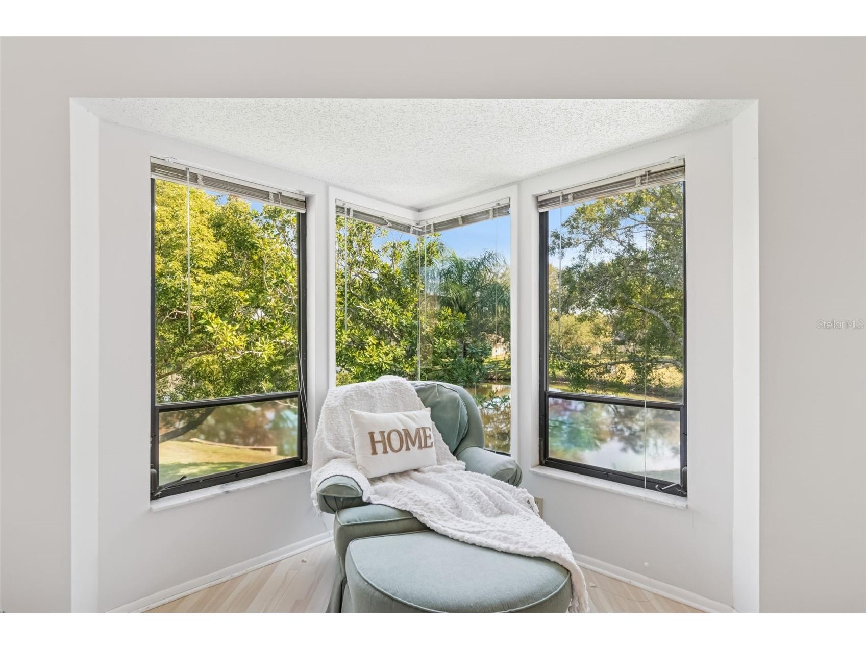 486 Lakeview Drive #54 Palm Harbor FL 34683 TB8457025 image38