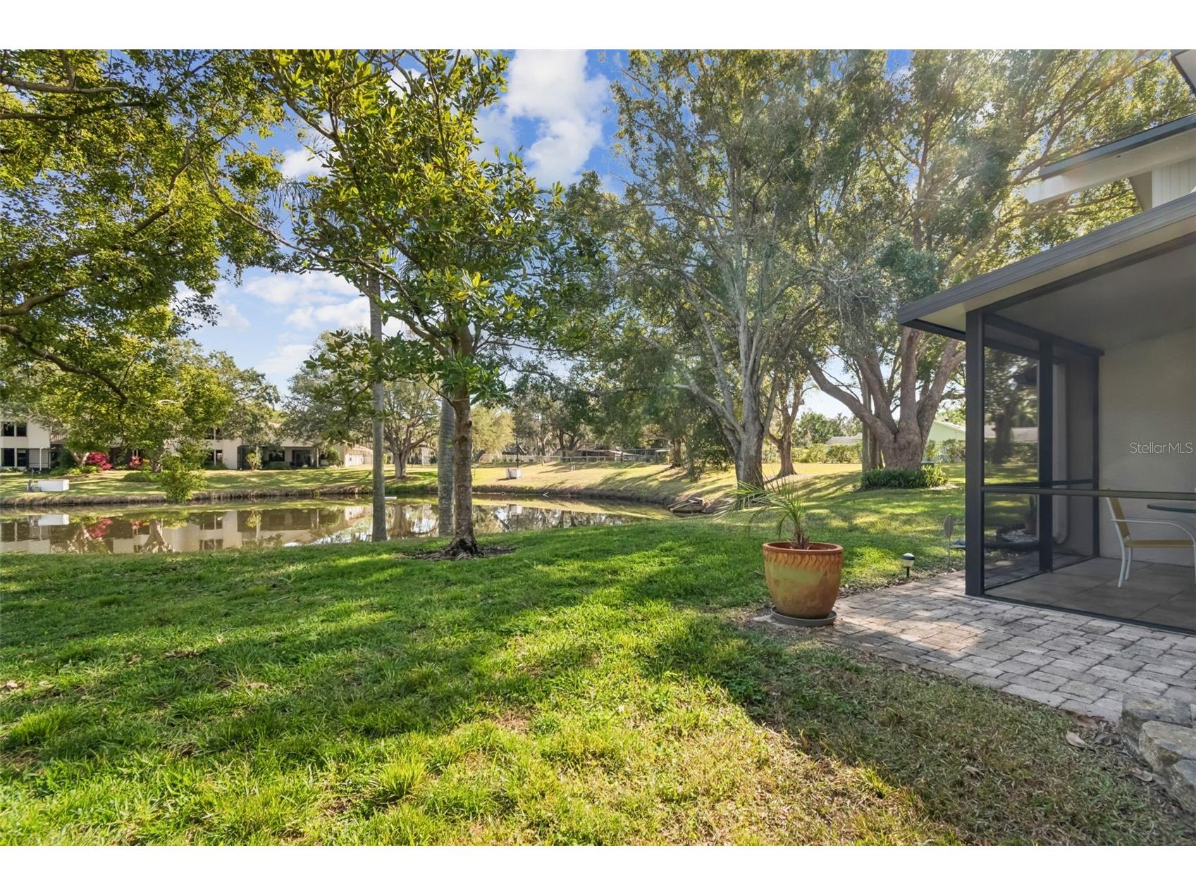 486 Lakeview Drive #54 Palm Harbor FL 34683 TB8457025 image48