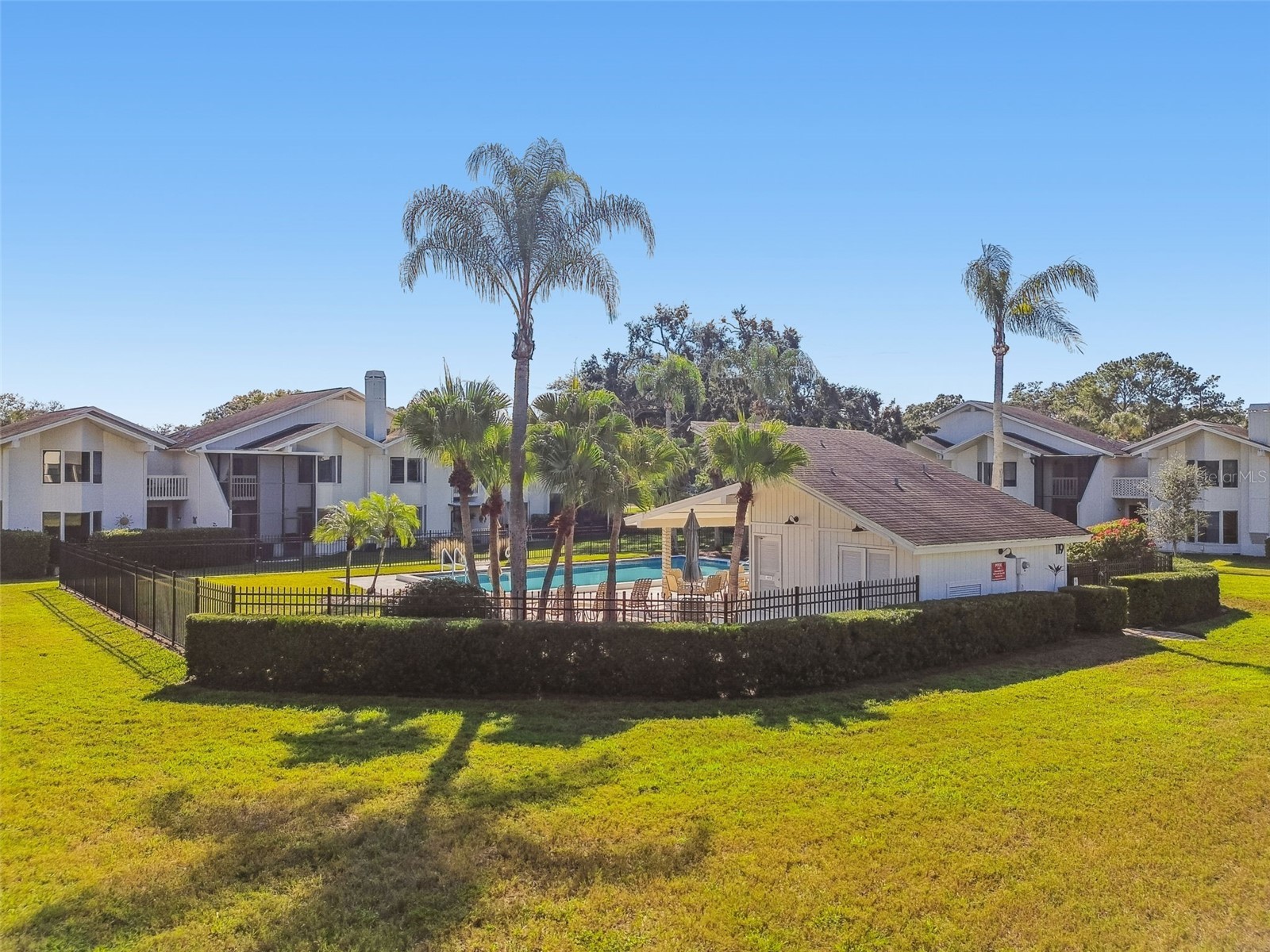 486 Lakeview Drive #54 Palm Harbor FL 34683 TB8457025 image53