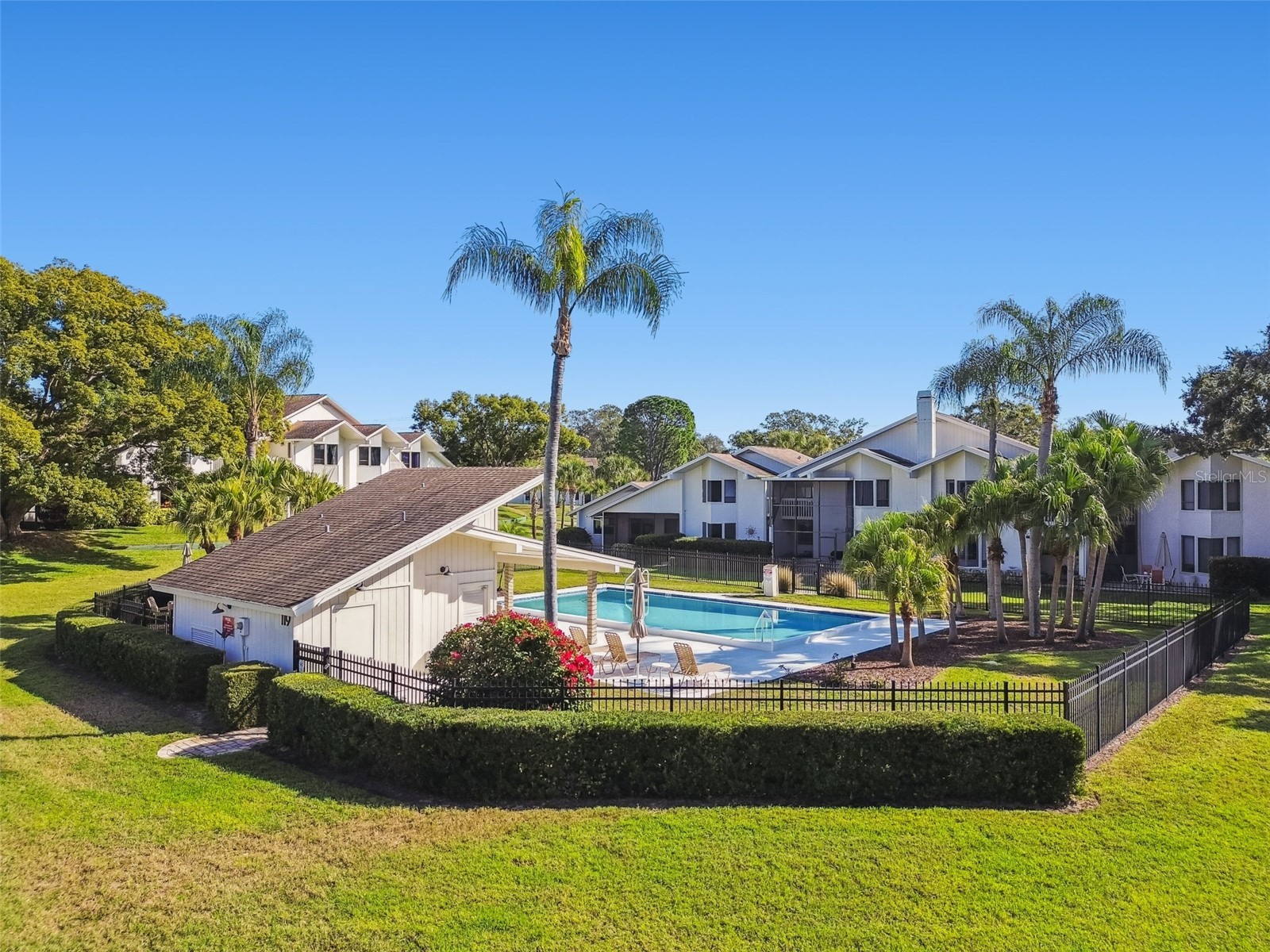 486 Lakeview Drive #54 Palm Harbor FL 34683 TB8457025 image54