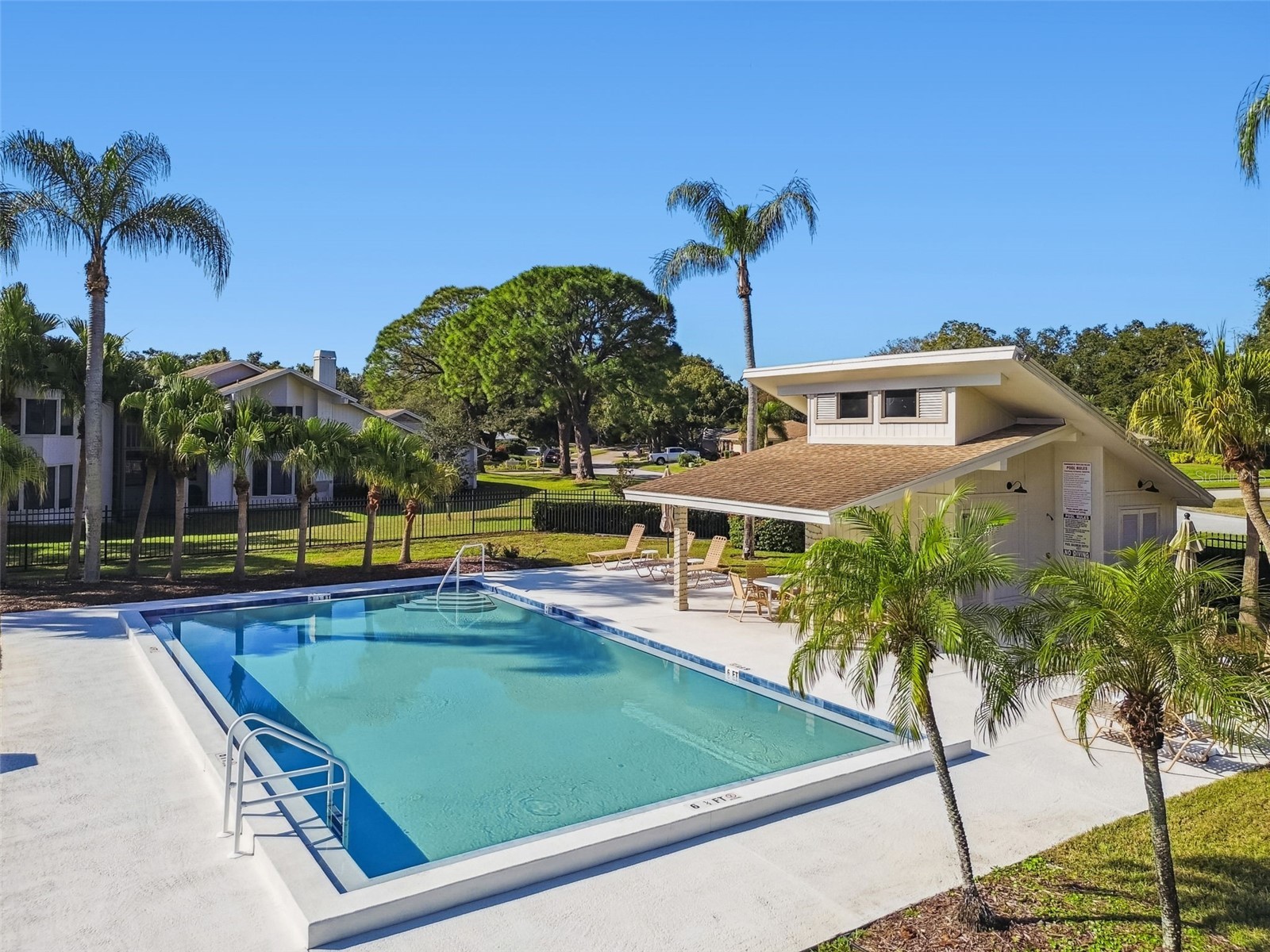 486 Lakeview Drive #54 Palm Harbor FL 34683 TB8457025 image55