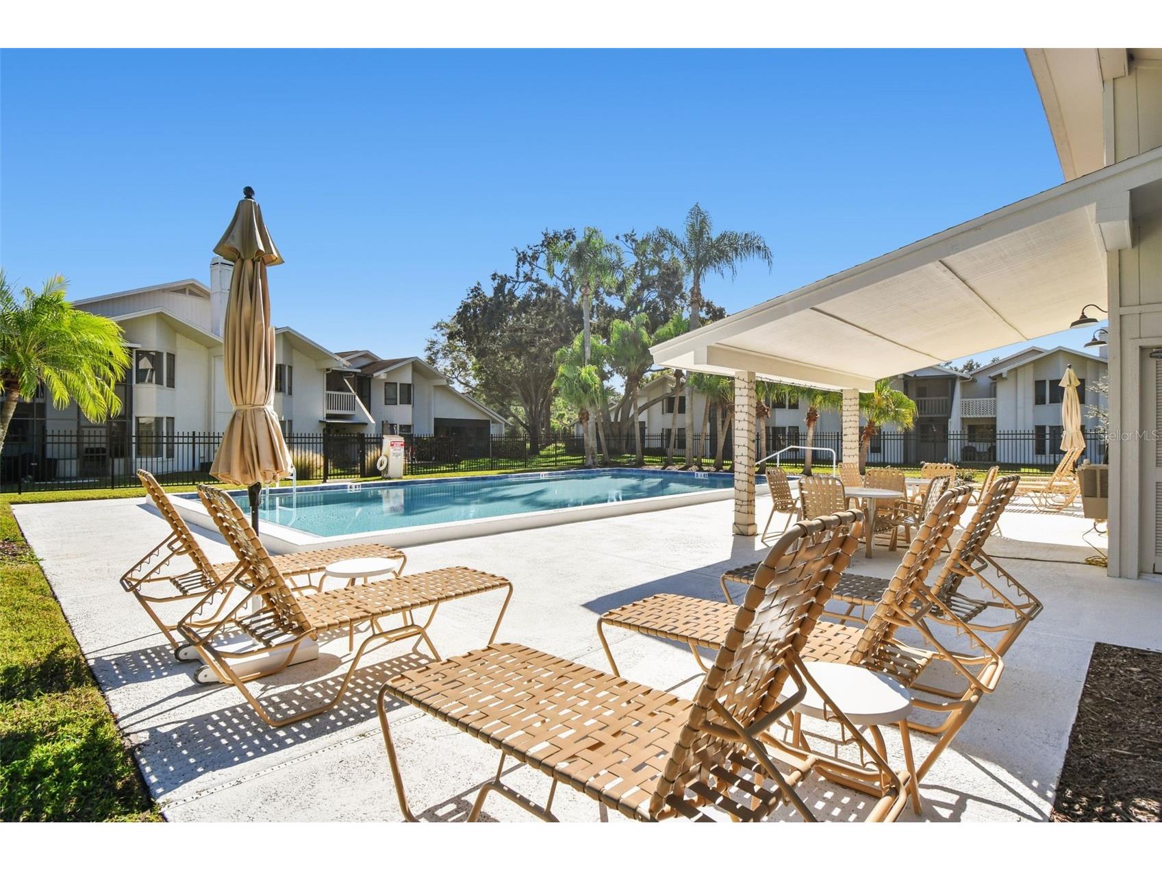 486 Lakeview Drive #54 Palm Harbor FL 34683 TB8457025 image58