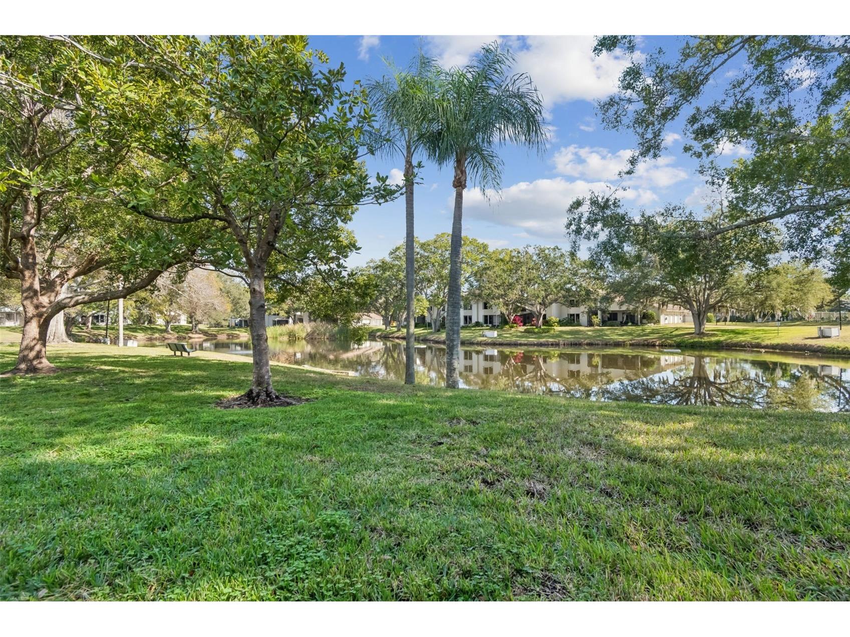 486 Lakeview Drive #54 Palm Harbor FL 34683 TB8457025 image59