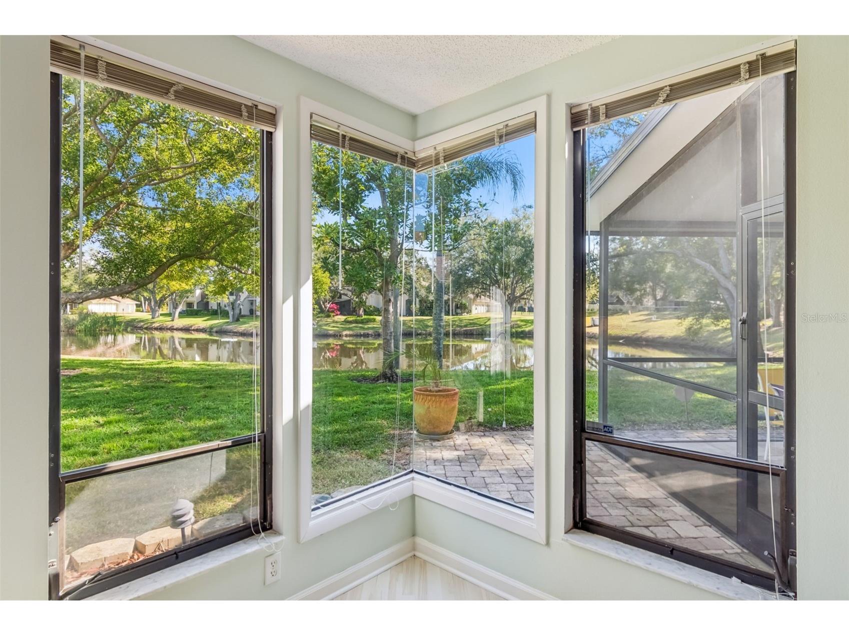 486 Lakeview Drive #54 Palm Harbor FL 34683 TB8457025 image7