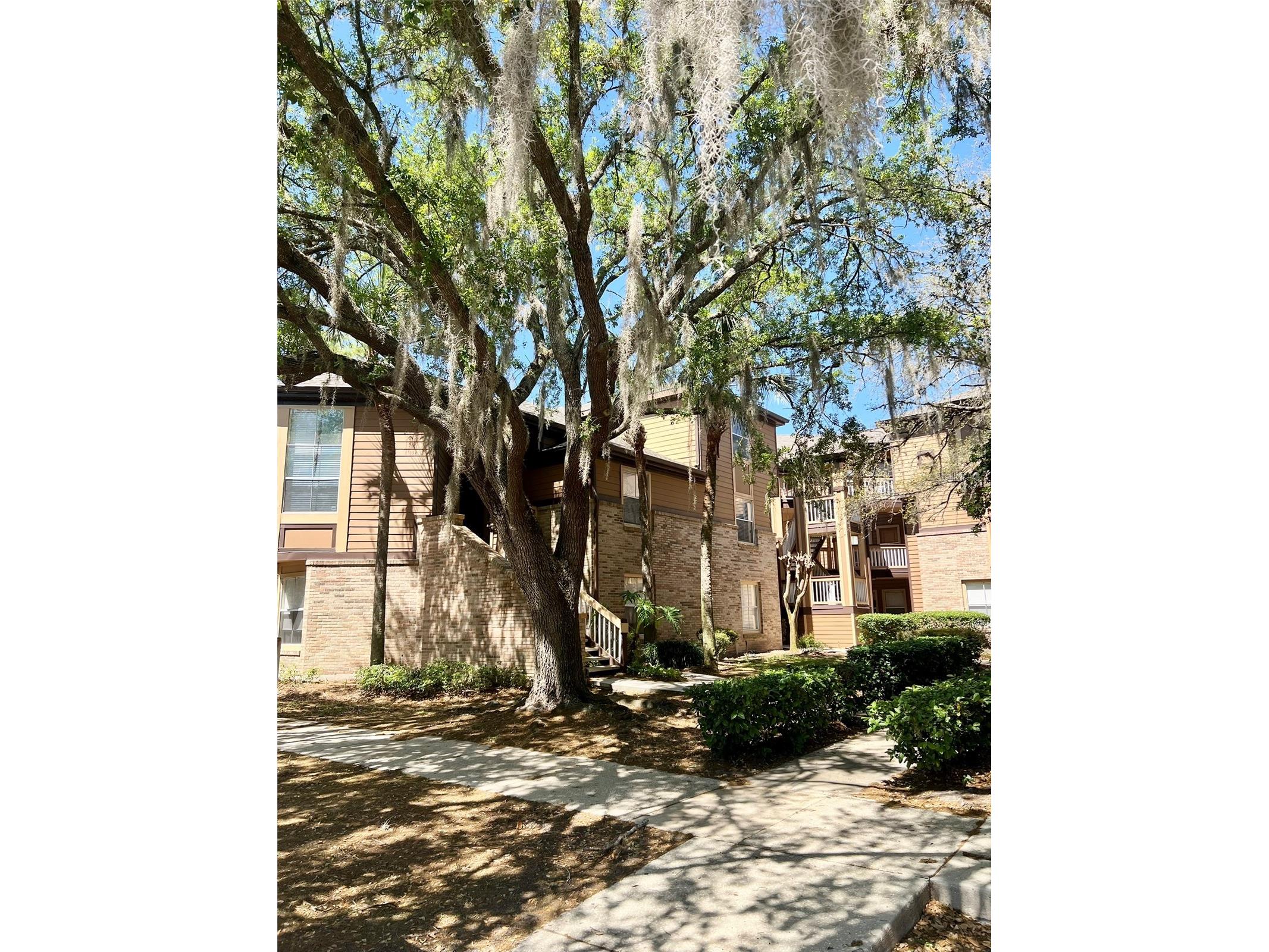 486 N Pin Oak Place #202 Longwood FL 32779 O6399863 image2
