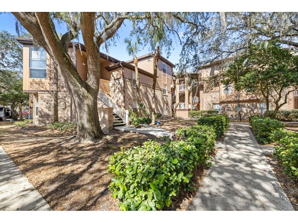 486 N Pin Oak Place #308 Longwood FL 32779 O6381034 image2
