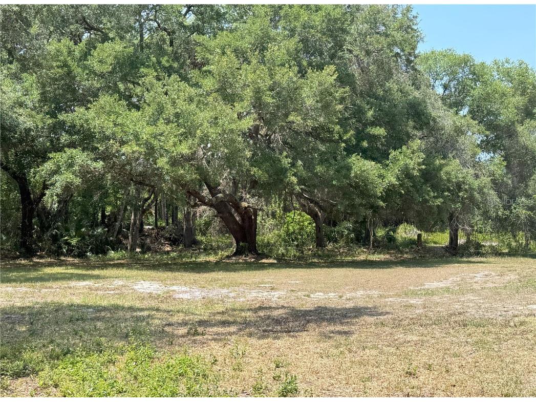 486 S Us Highway 1 #486 & 470 Oak Hill FL 32759 FC309635 image29