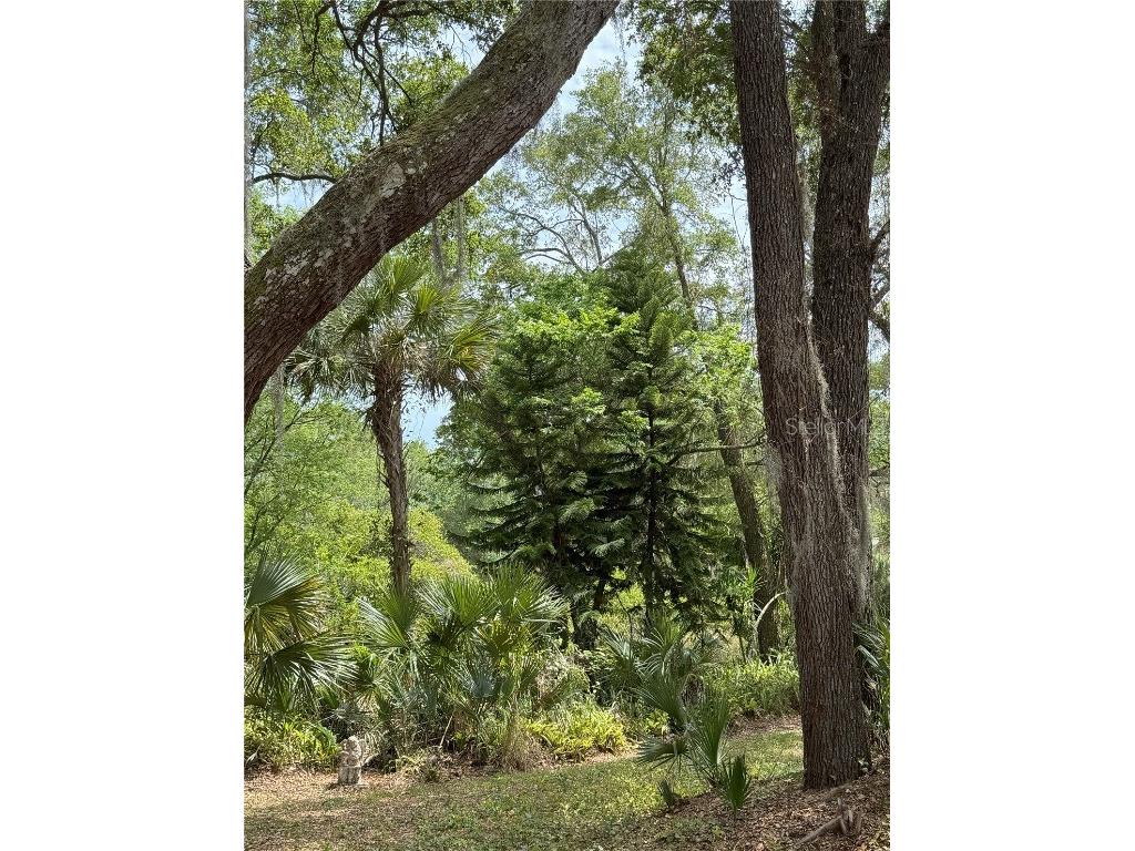 486 S Us Highway 1 #486 & 470 Oak Hill FL 32759 FC309635 image30