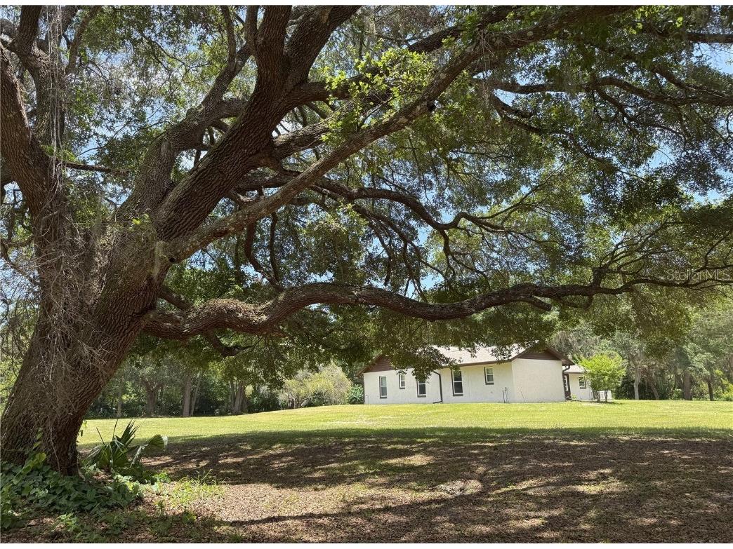 486 S Us Highway 1 #486 & 470 Oak Hill FL 32759 FC309635 image36