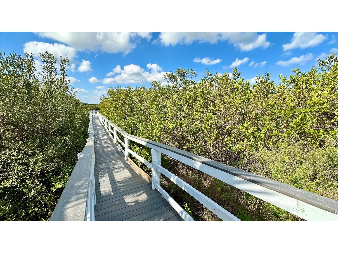 4860 S Atlantic Avenue #1030 New Smyrna Beach FL 32169 - MOSQUITO LAGOON PRESERVE NS1083829 image18