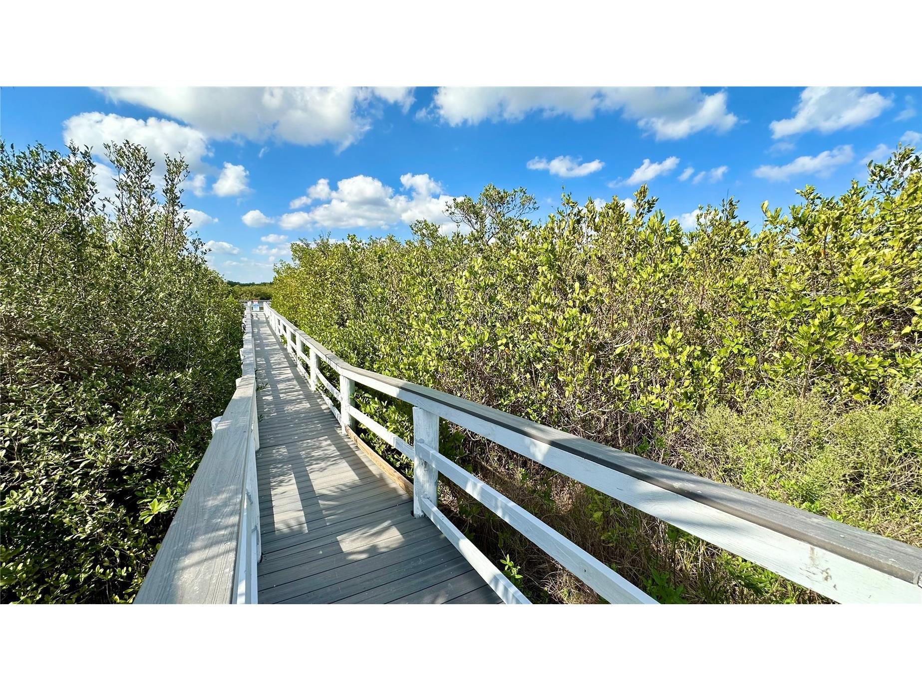 4860 S Atlantic Avenue #1030 New Smyrna Beach FL 32169 - MOSQUITO LAGOON PRESERVE NS1088349 image21