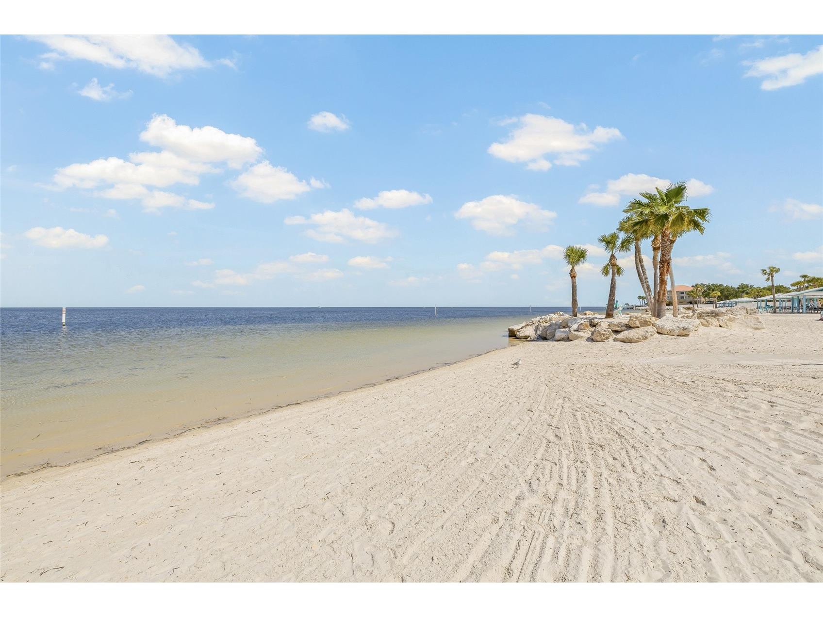 4860 Shell Stream Boulevard New Port Richey FL 34652 TB8475176 image41