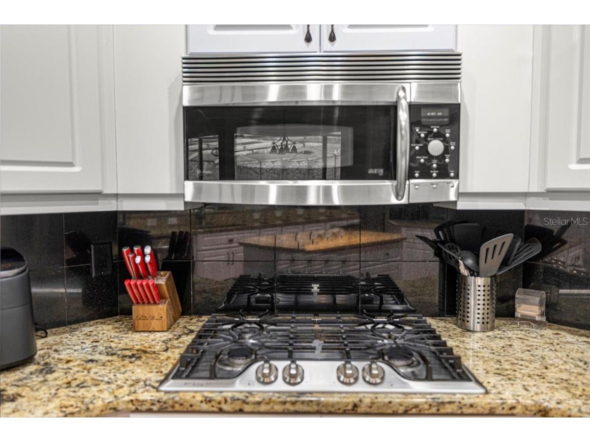 4860 W Angus Drive Beverly Hills FL 34465 TB8516973 image21