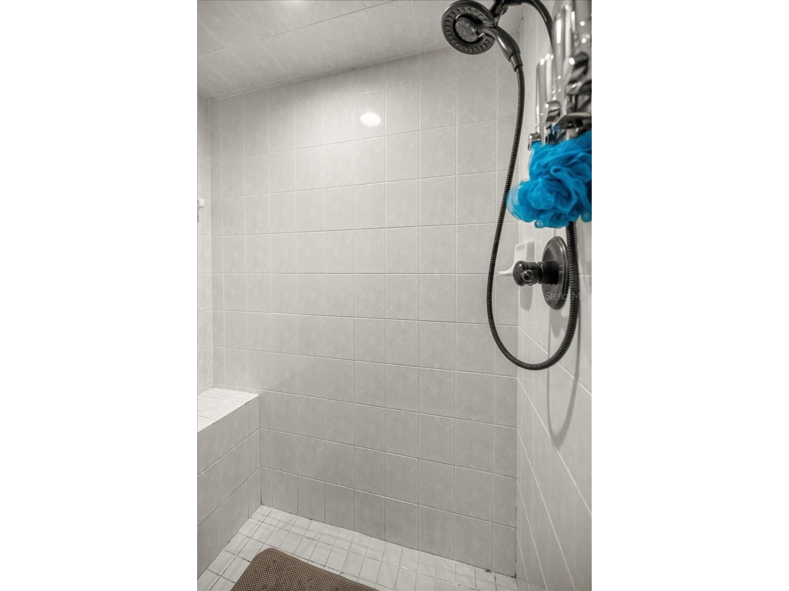 4860 W Angus Drive Beverly Hills FL 34465 TB8516973 image29