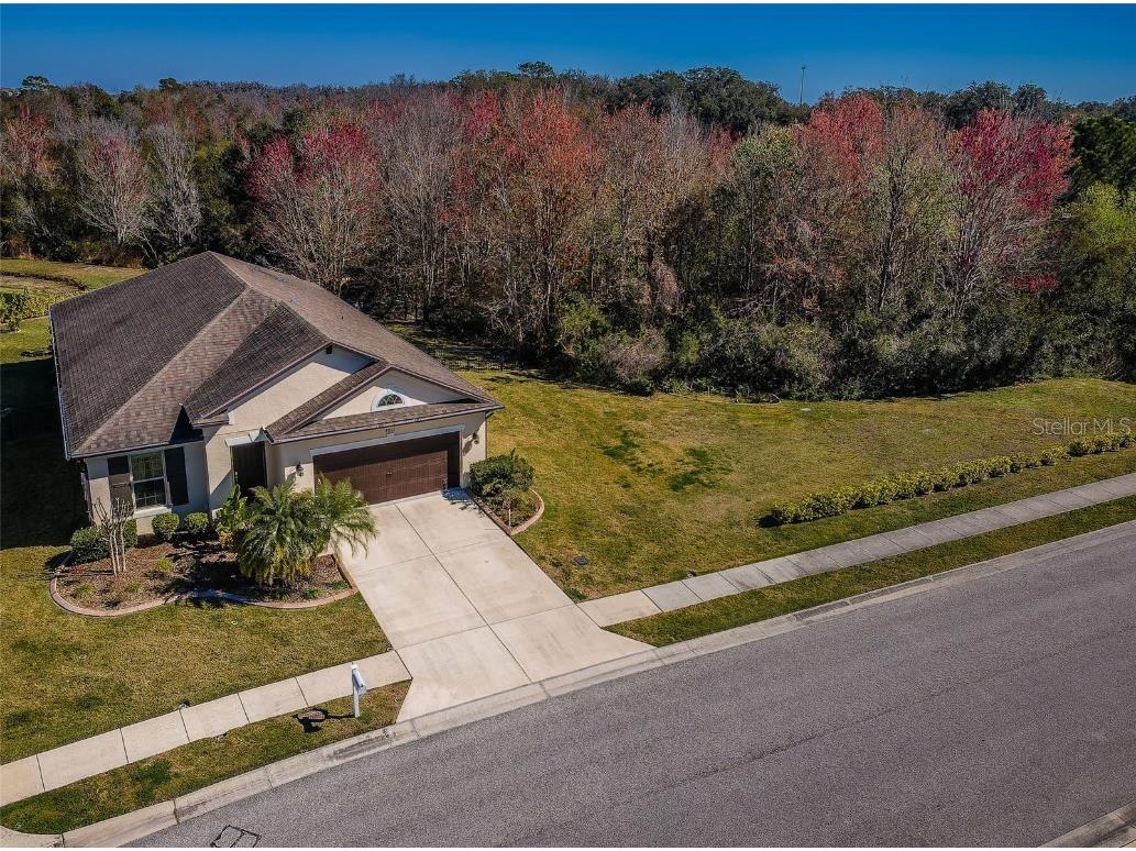 4861 Rolling Greene Drive Wesley Chapel FL 33543 U8238912 image1