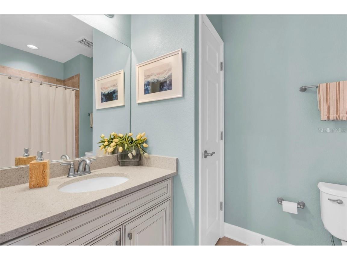 4861 Wandering Way Wesley Chapel FL 33544 W7878701 image29