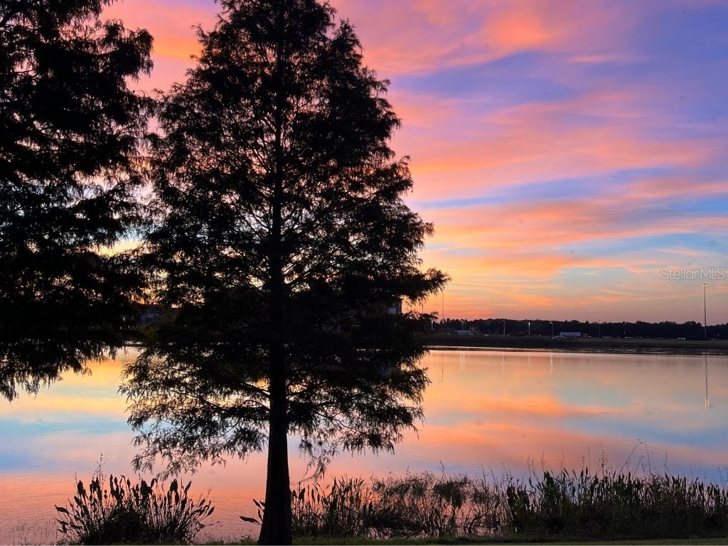 4861 Wandering Way Wesley Chapel FL 33544 W7878701 image41