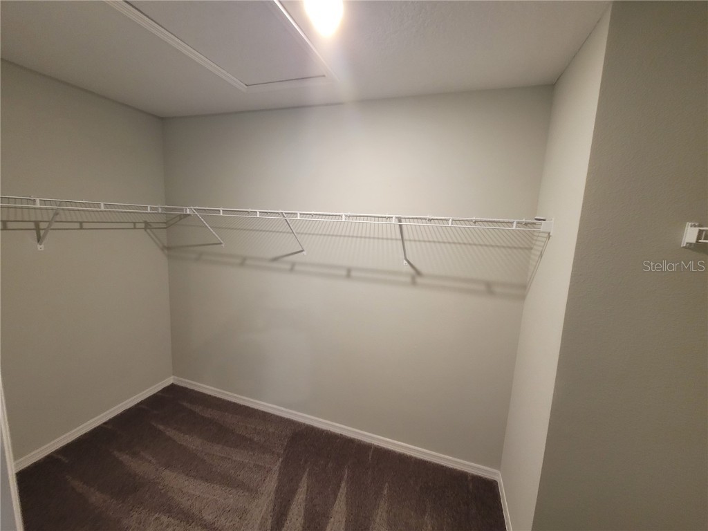 4863 Coral Castle Drive Kissimmee FL 34746 S5139654 image15