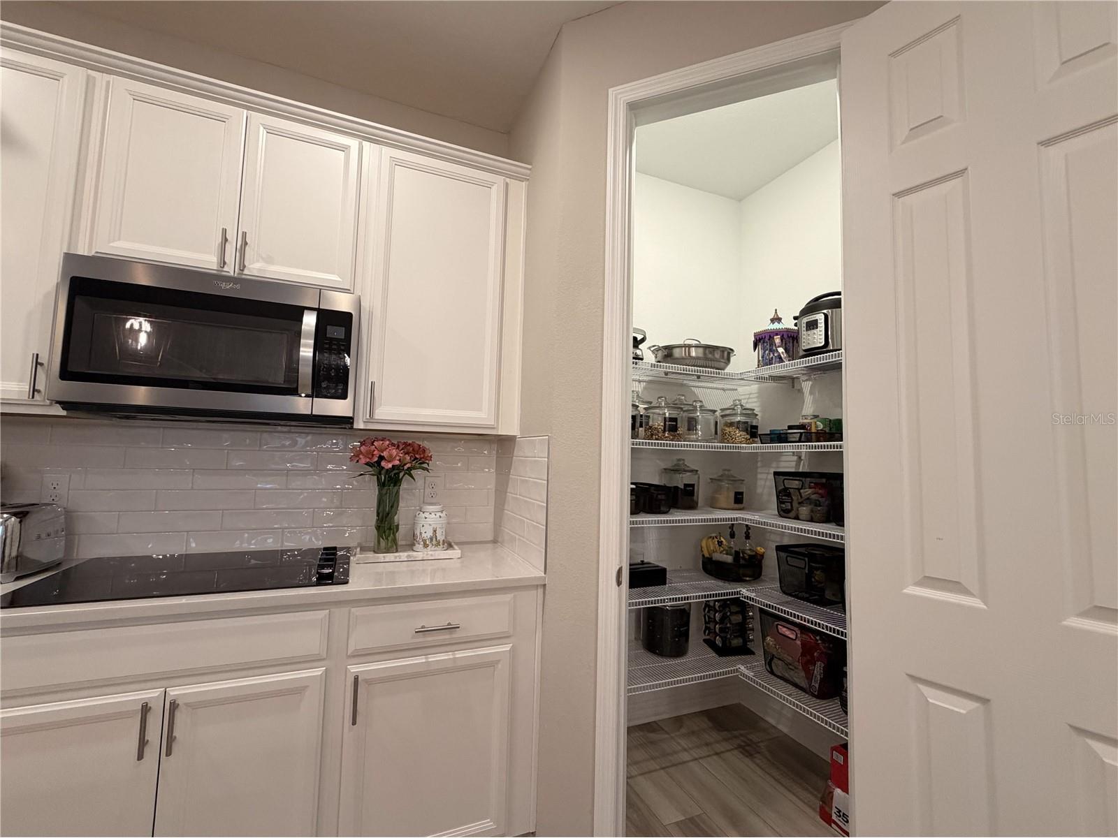 4863 Lacewing Drive Winter Garden FL 34787 O6397857 image12